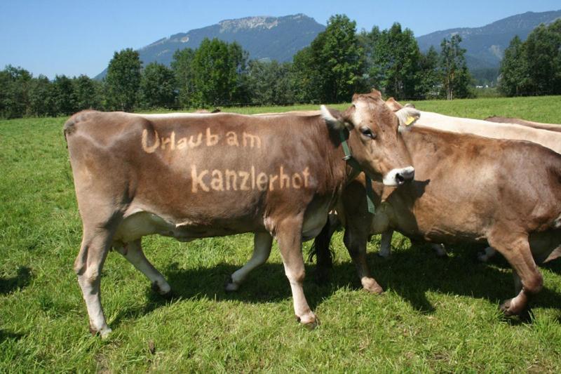 Kanzlerhof Bad Mitterndorf Buitenkant foto